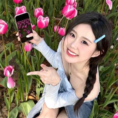 太极旗飘扬